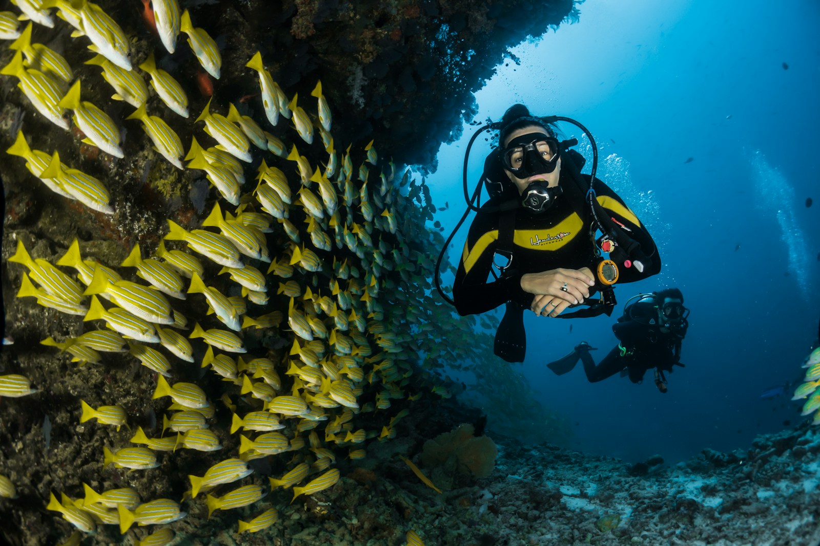 Scuba Diver Course