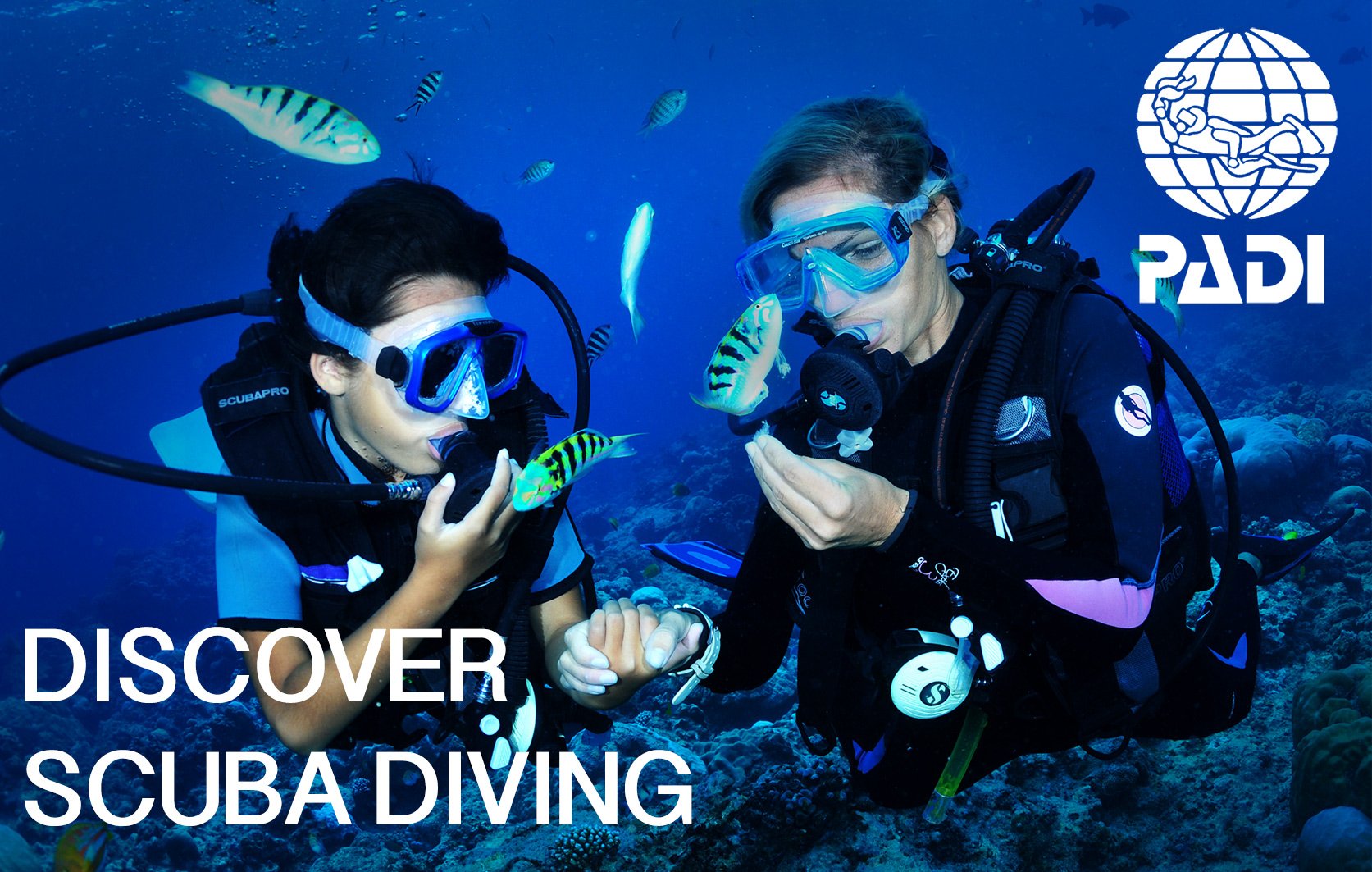 Discover Scuba Dive
