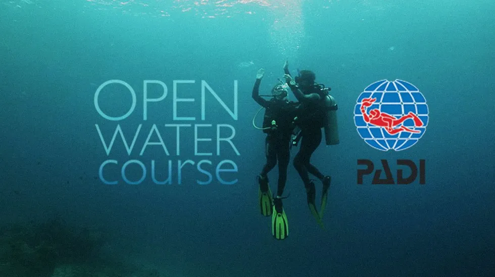 Open Water Diver Course